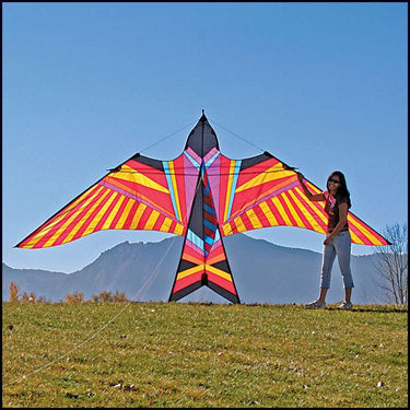 ITW 5m Aloha Sky bird Giant kite